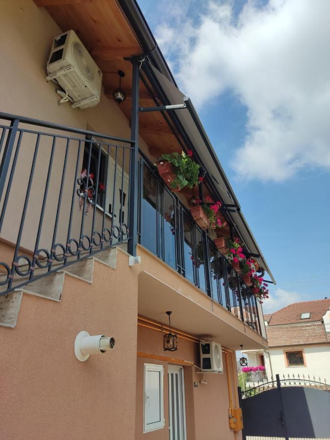 Apartmani Sladjana Нови Сад Екстериор снимка