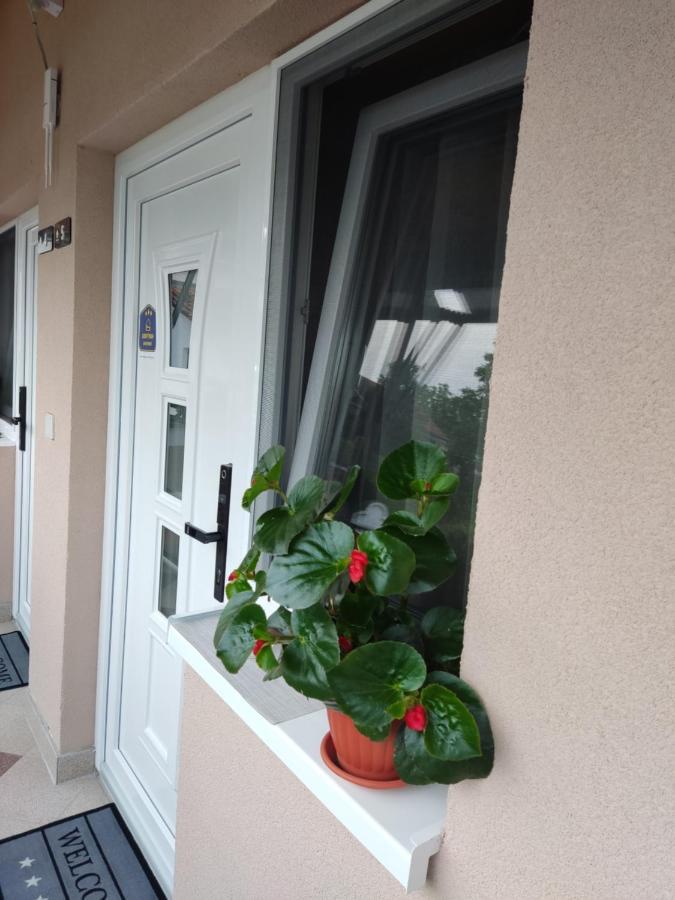 Apartmani Sladjana Нови Сад Екстериор снимка
